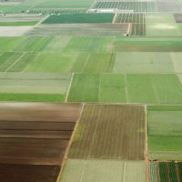 Провал грози сделките за наемни земеделски земи във варненско
