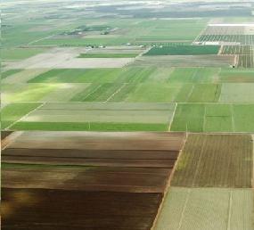 ФНИ България продаде над 3 хил. дка земеделска земя